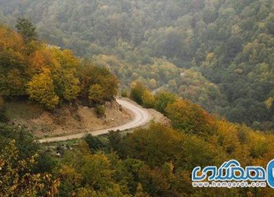 با تعدادی از زیباترین مسیرهای جنگل نوردی در ایران آشنا شوید