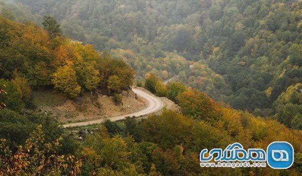 با تعدادی از زیباترین مسیرهای جنگل نوردی در ایران آشنا شوید