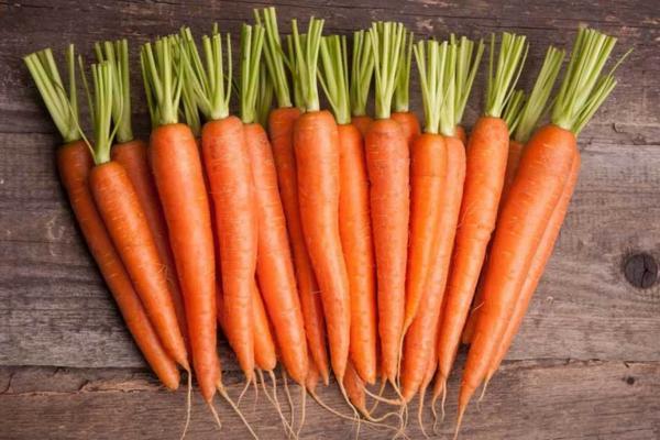 نگهداری هویج برای یک سال؛ با این ترفند شدنی است؟!