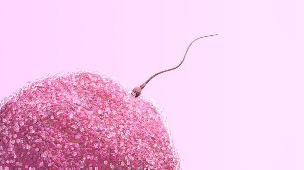 8 باور اشتباه در مورد اسپرم