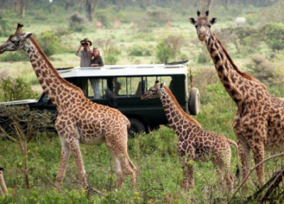جاذبه های گردشگری ماسایی مارا ، برترین حیات وحش در آفریقا
