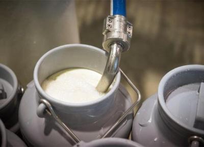 نرخ شیر خام 15 هزار تومان تصویب شد