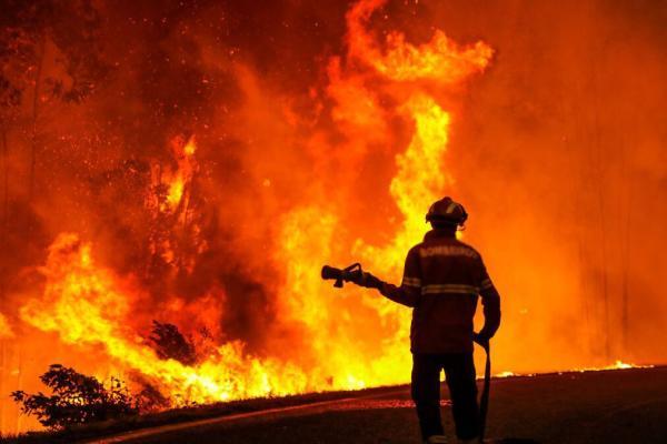مرکز جمع آوری زباله های تبریز آتش گرفت ، آسیب به محل نگهداری سگ های بدون صاحب